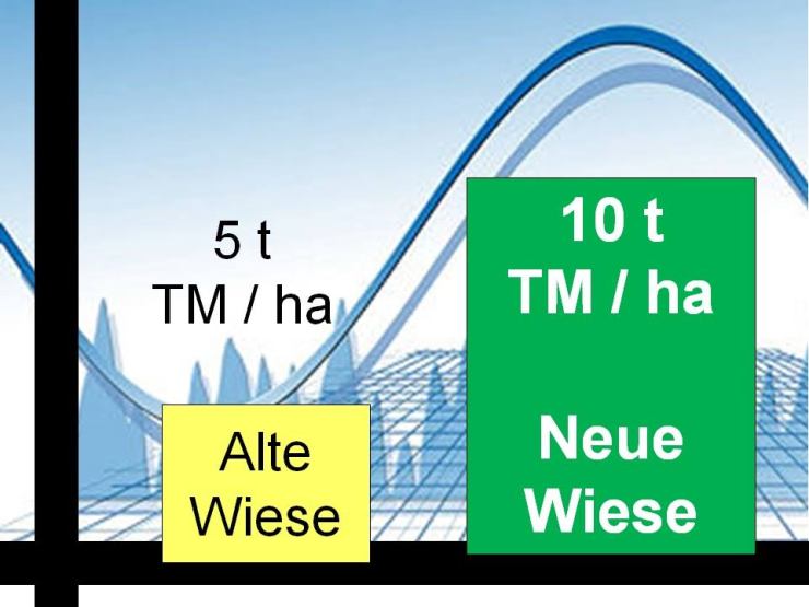 5-10t-tm-alte-u-neue-wiese
