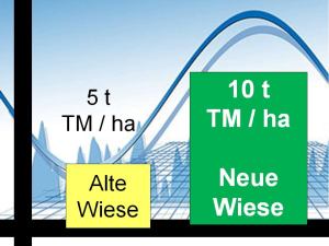 5-10t-tm-alte-u-neue-wiese1