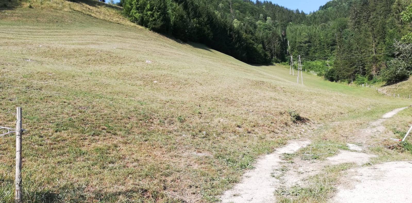 blaimauer-trockenheit-wiesenschu00e4den-whatsapp-image-2019-07-26-at-17.35.521.bb_