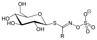 Allgemeine Strukturformel der Senfölglycoside (Glucosinolate)